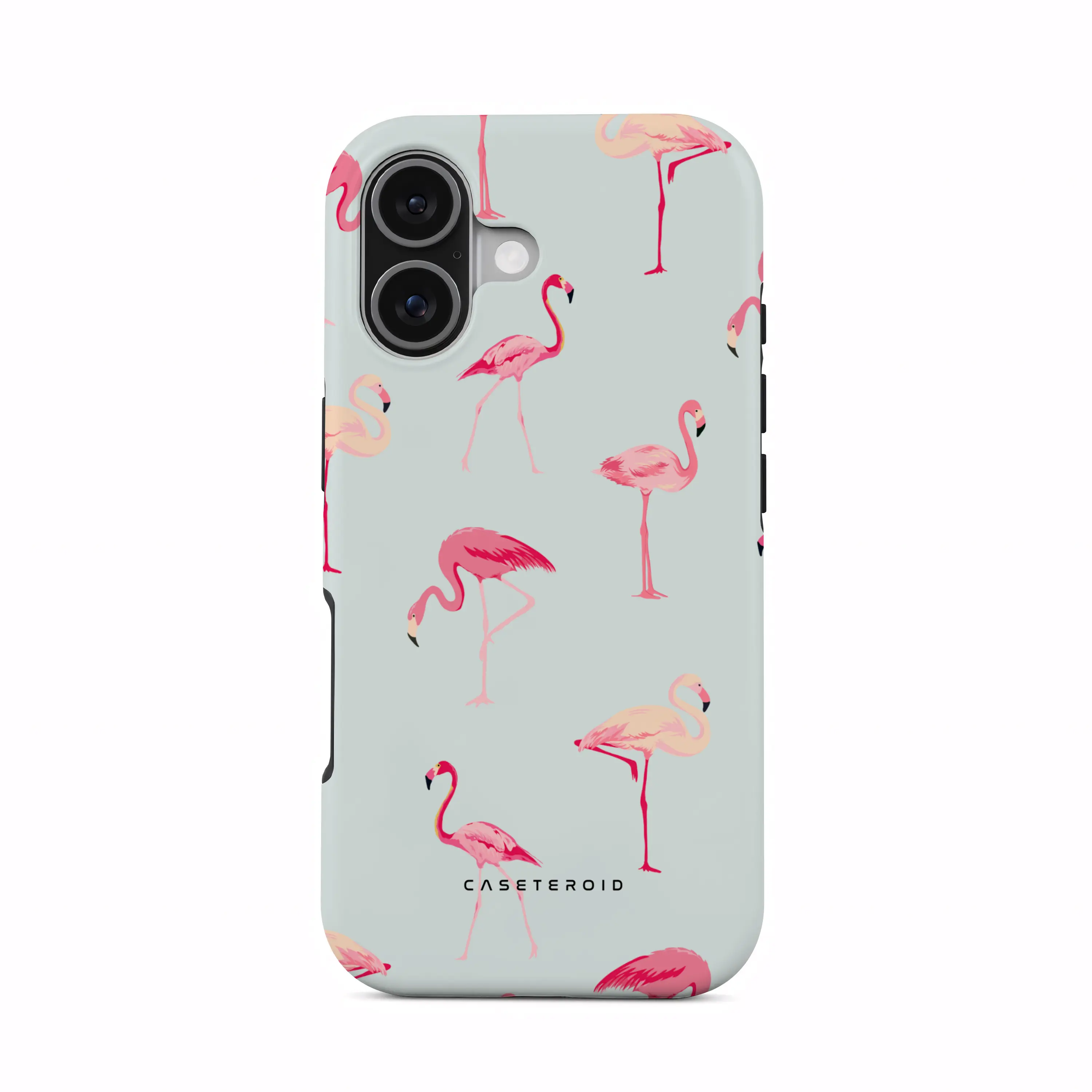 Flamingo - iPhone 17 Case