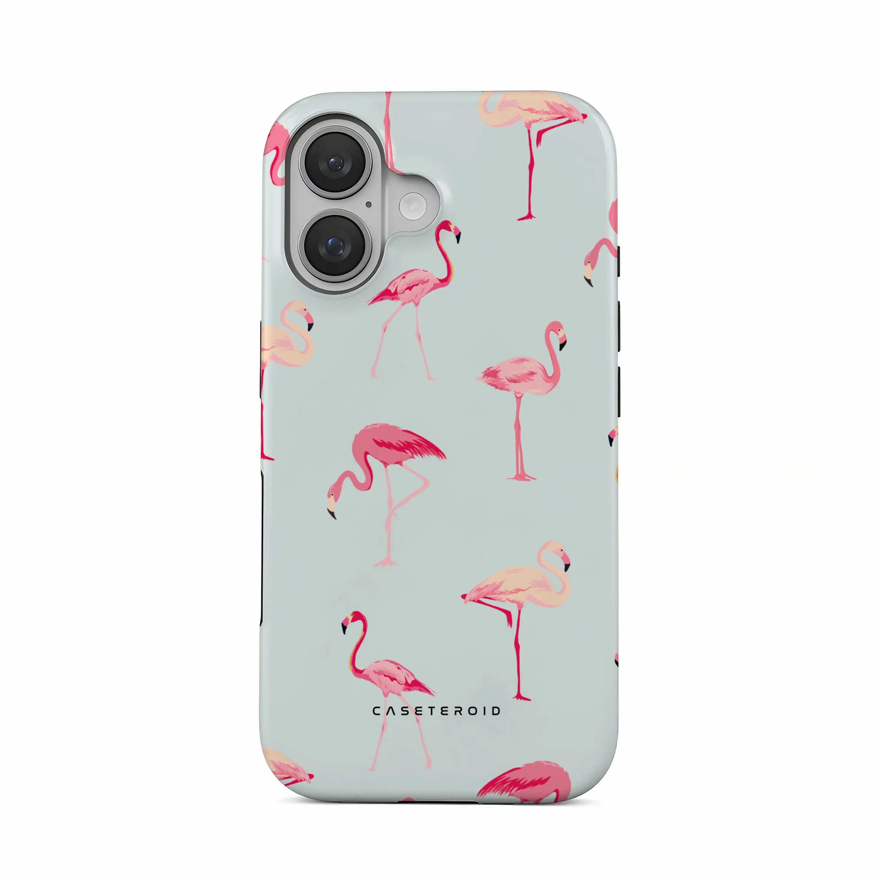 Flamingo - iPhone 16 Case