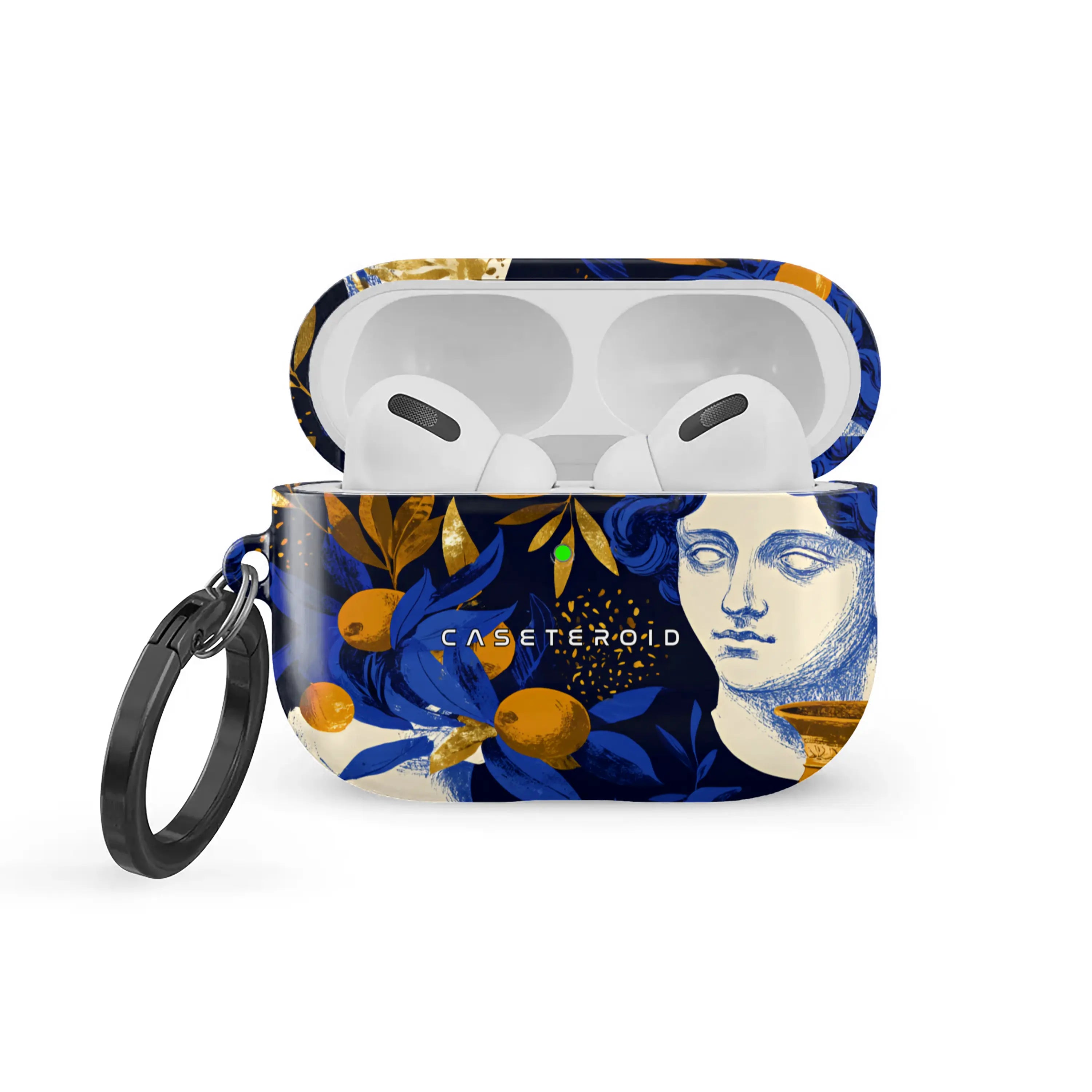 Terra Divina - AirPods Pro 3 Case