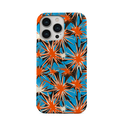 Burst Theory - iPhone 13 Pro Case