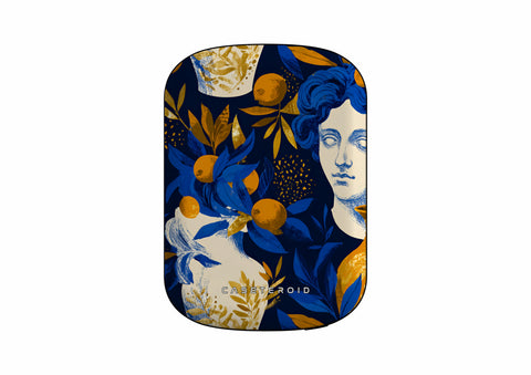 Terra Divina - ChargePod MagSafe Power Bank