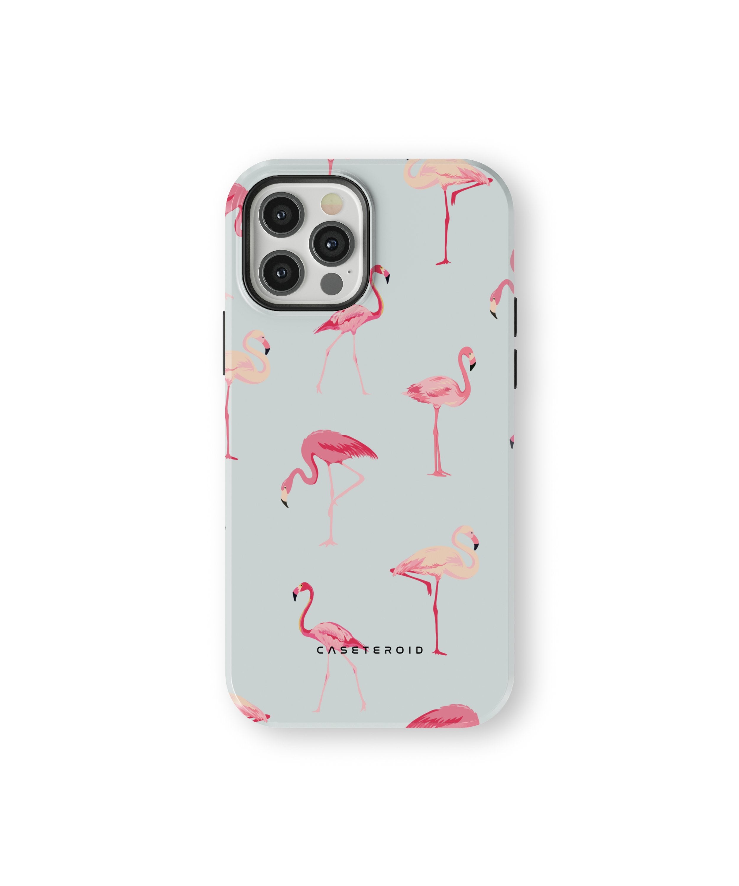 Flamingo - iPhone 12 Pro Case