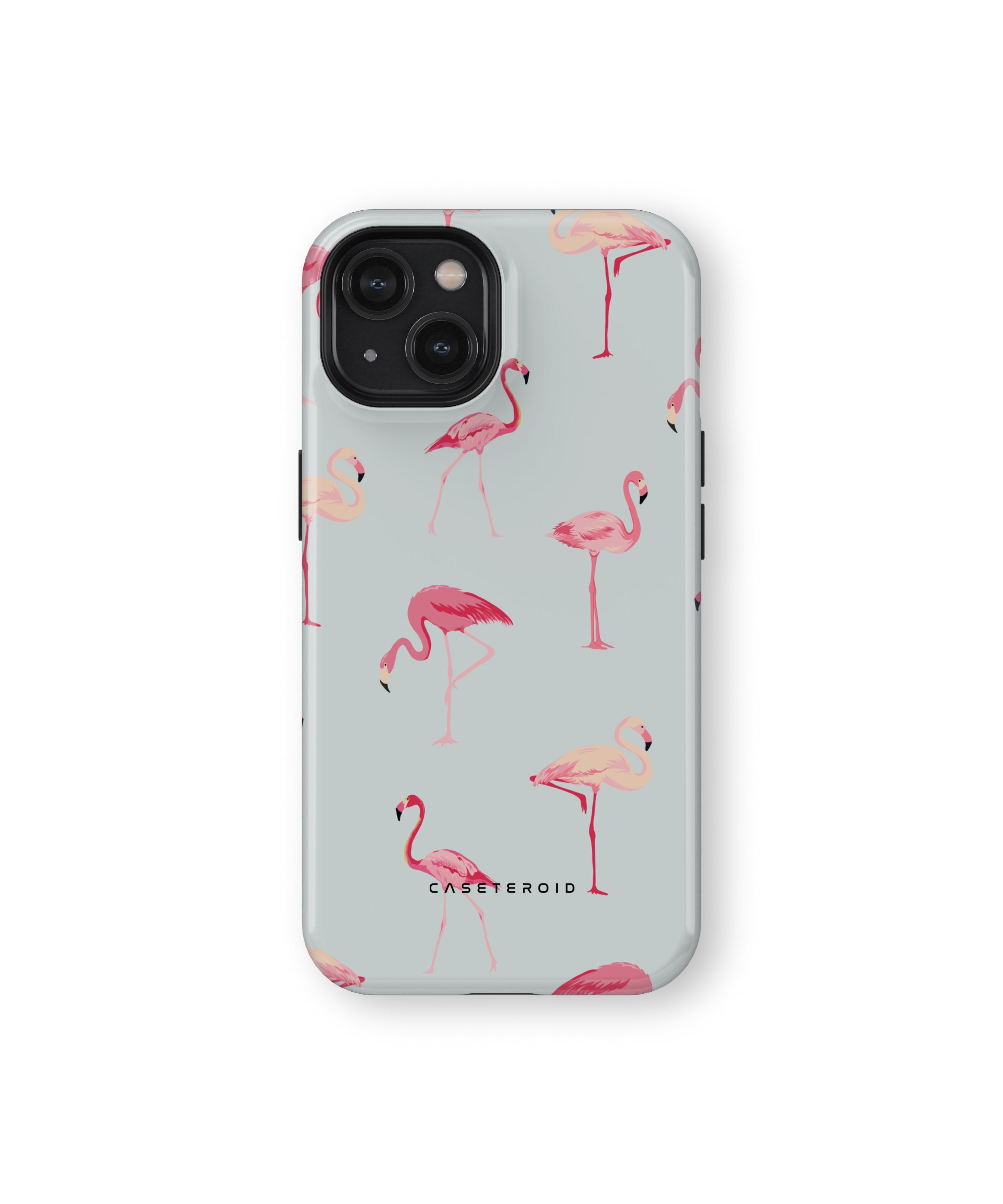 Flamingo - iPhone 13 Case