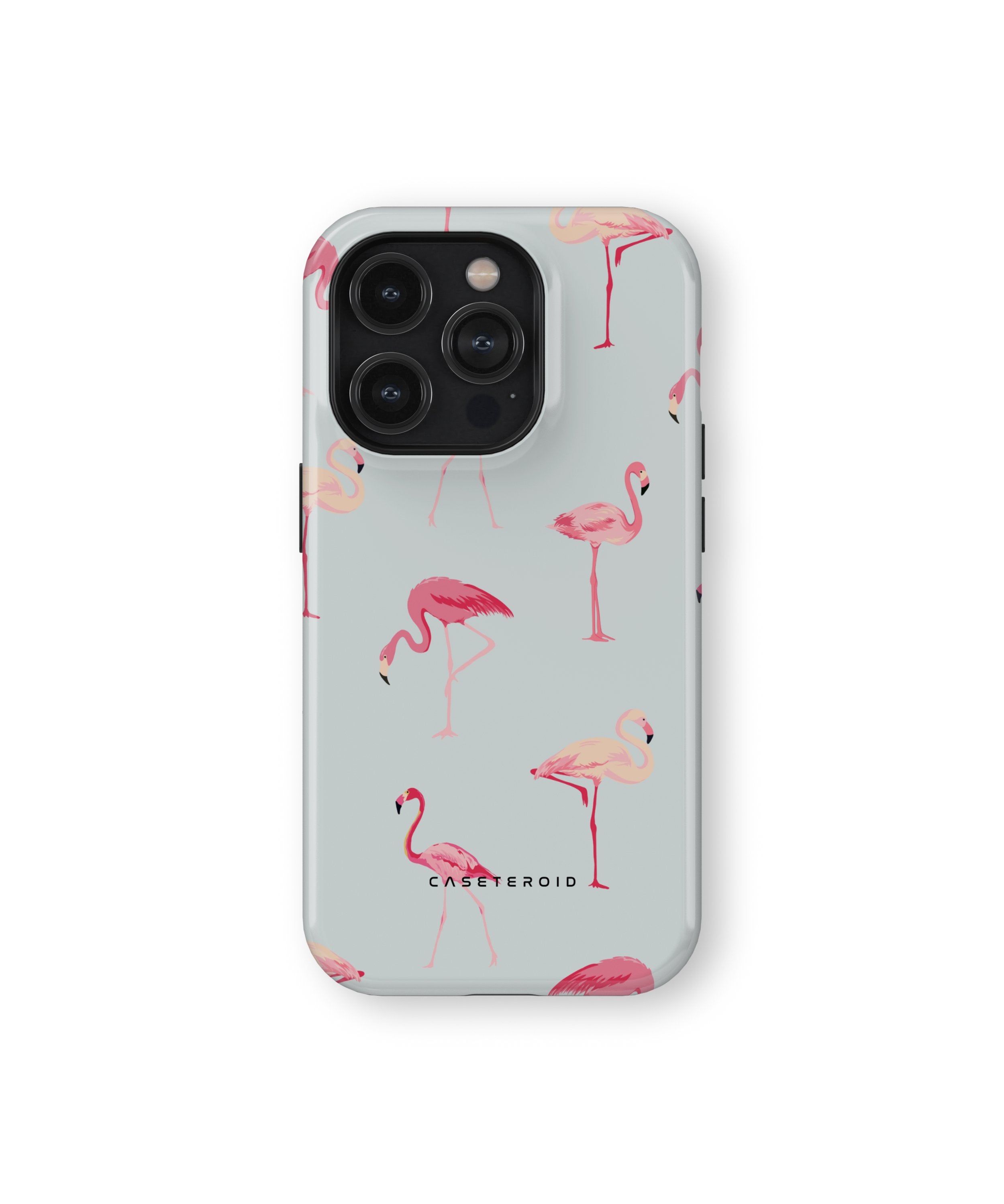 Flamingo - iPhone 13 Pro Case