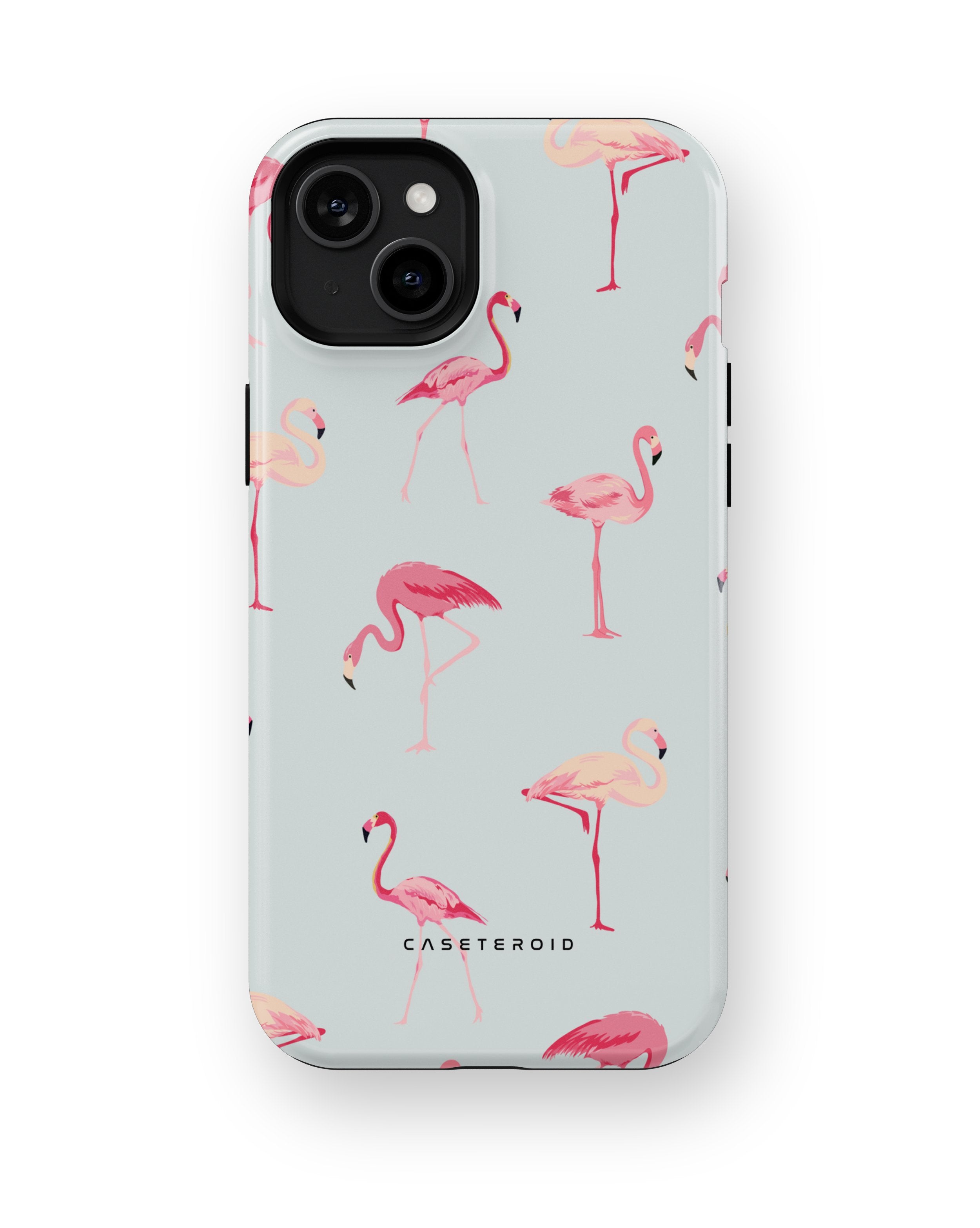 Flamingo - iPhone 15 Plus Case