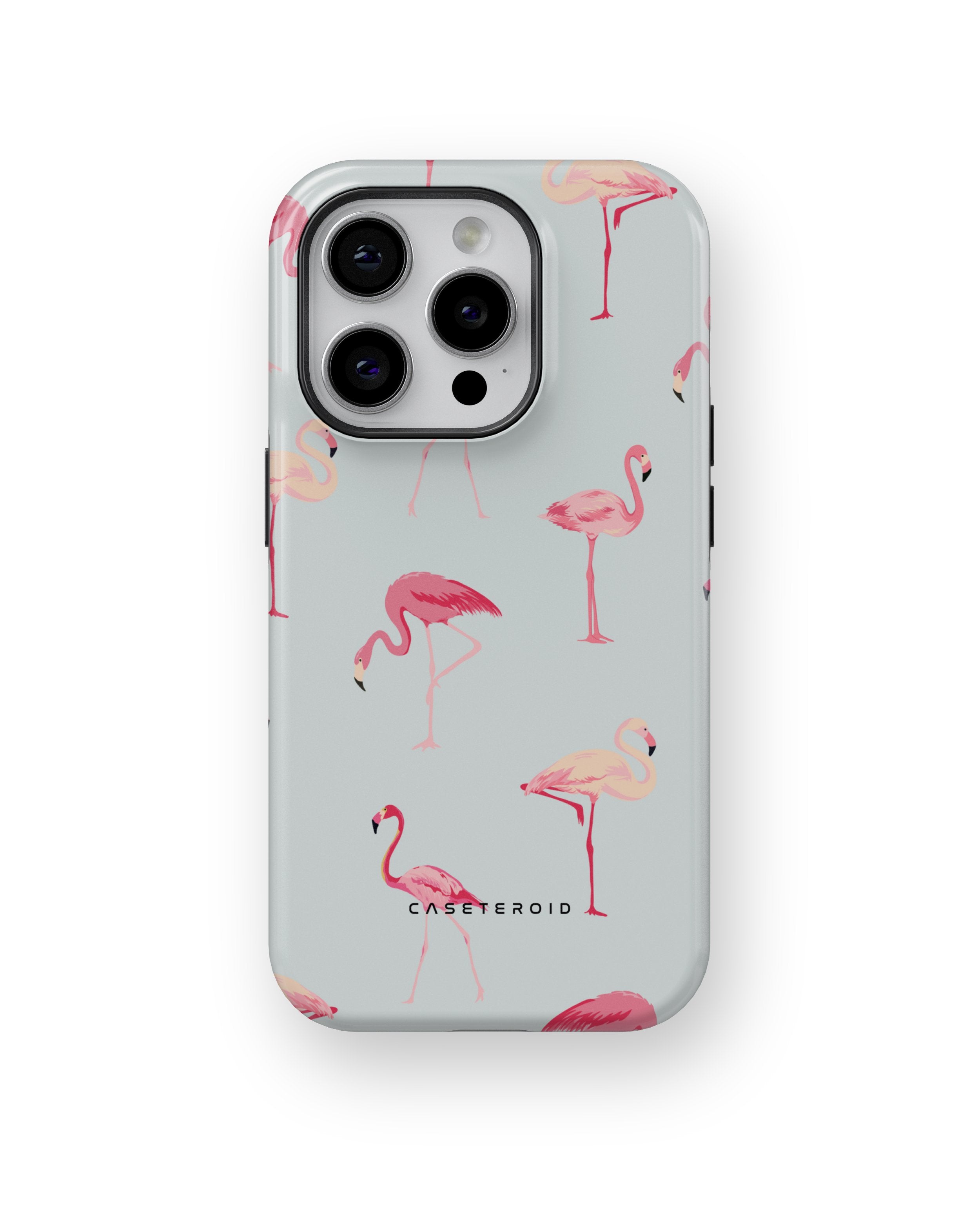 Flamingo - iPhone 15 Pro Case