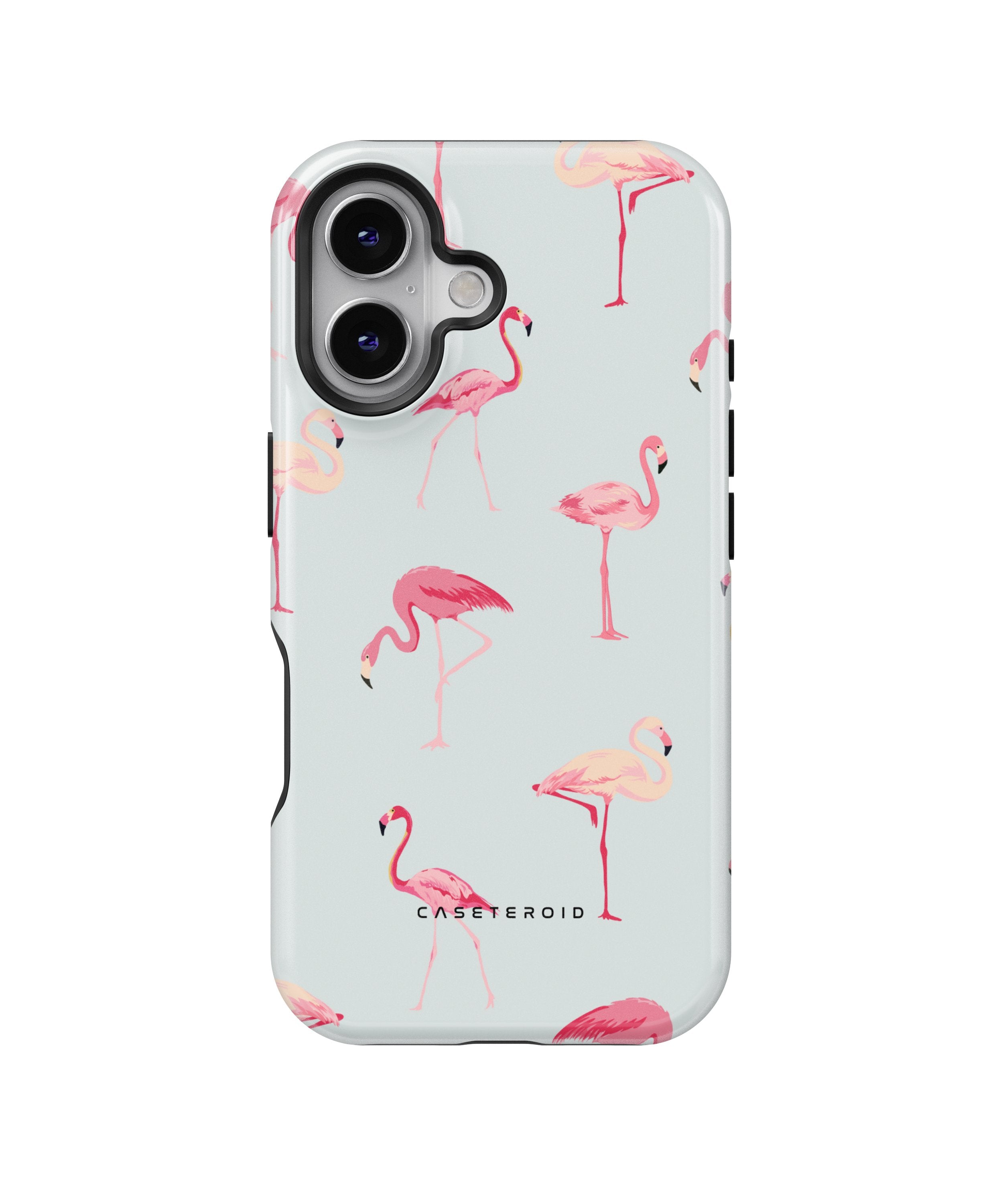 Flamingo - iPhone 16 Case