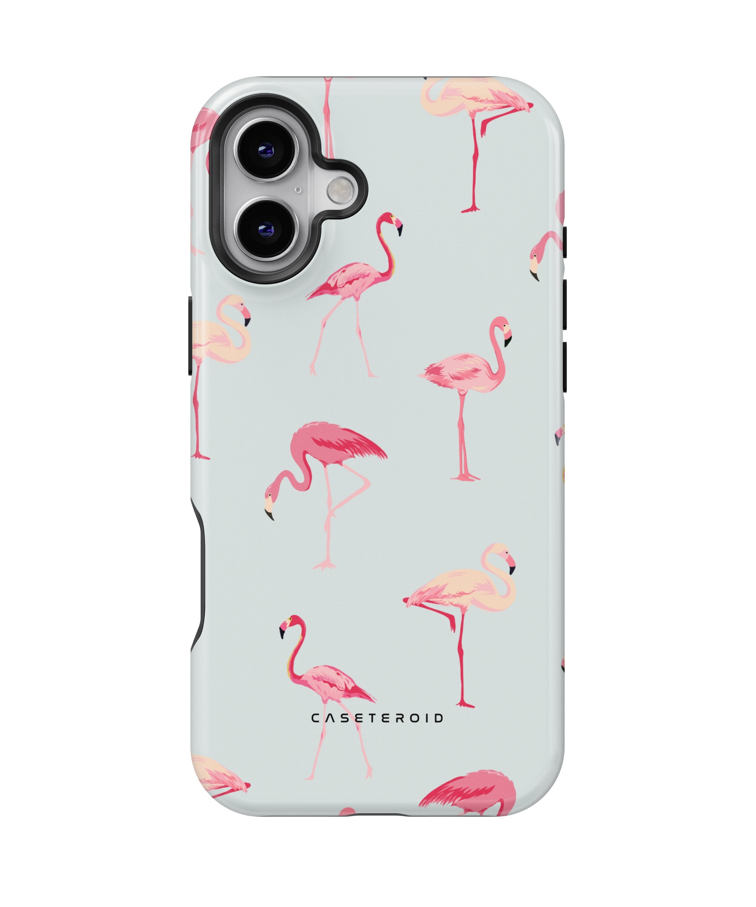 Flamingo - iPhone 16 Plus Case