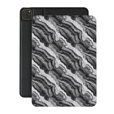 Lithic - iPad Pro 11 (2nd/1st Gen) Case