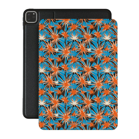 Burst Theory - iPad Pro 11 (4th/3rd Gen) Case