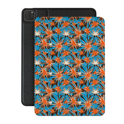 Burst Theory - iPad Pro 11 (2nd/1st Gen) Case