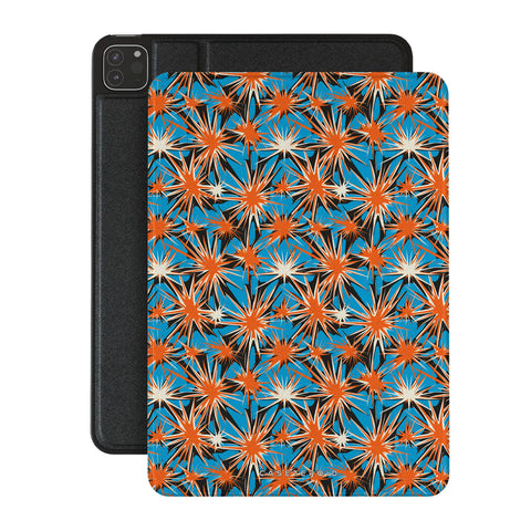 Burst Theory - iPad Pro 11 (2nd/1st Gen) Case